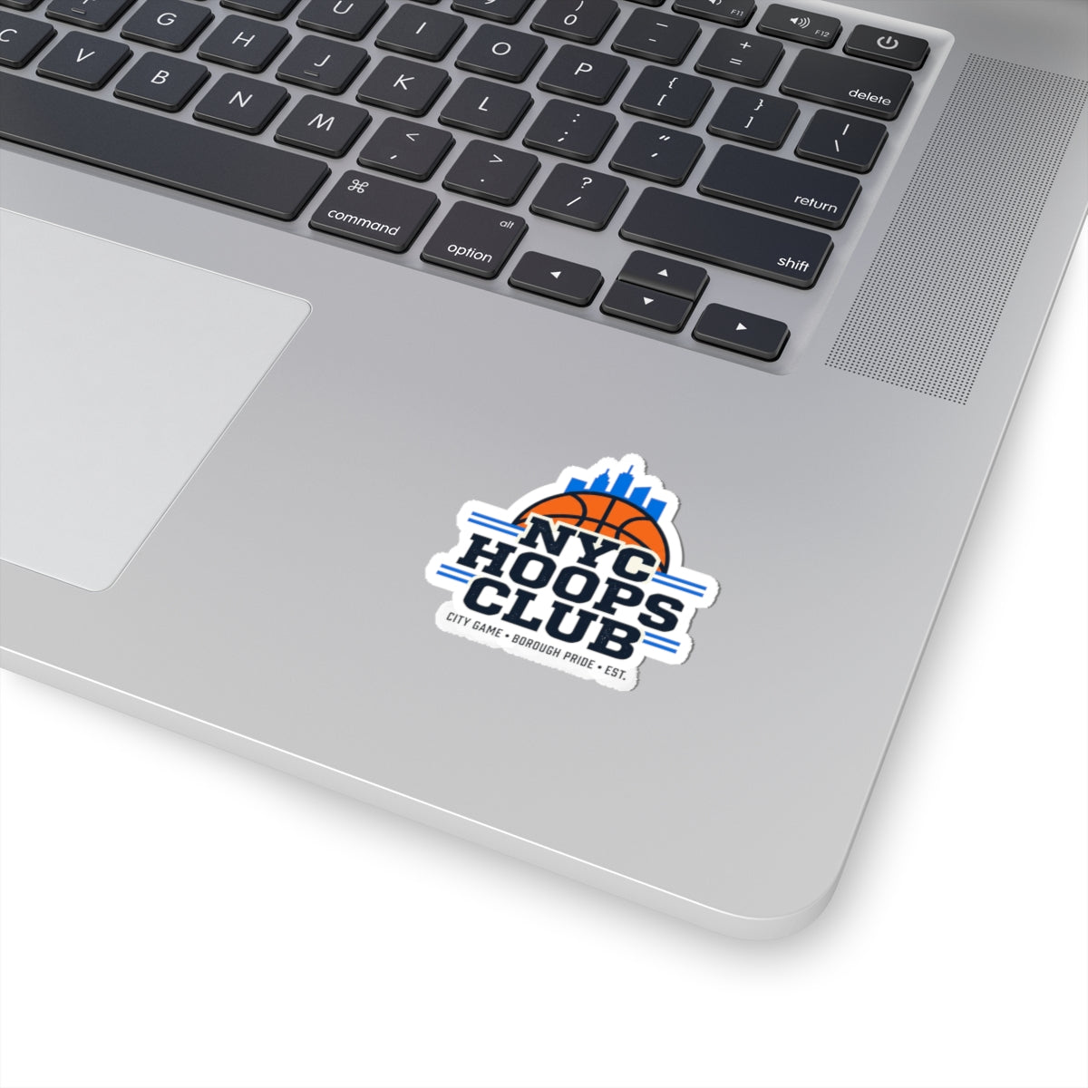 NYC Hoops Club Varsity Basketball Sticker | city basketball, collegiate