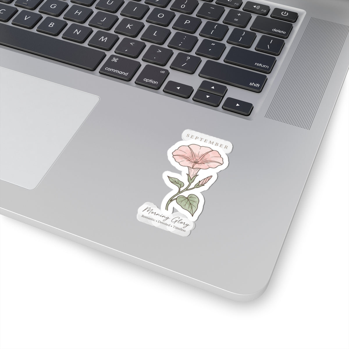 September Morning Glory Sticker | Birth Month Flower, Botanical Line Art