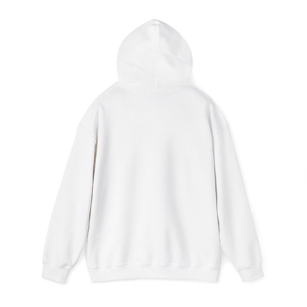 Faith Family Freedom Hoodie | Patriotic Faith-based July 4th, Vintage Americana