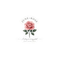 June Rose Botanical Sticker | Birth Month Flower, Watercolor, Personalized
