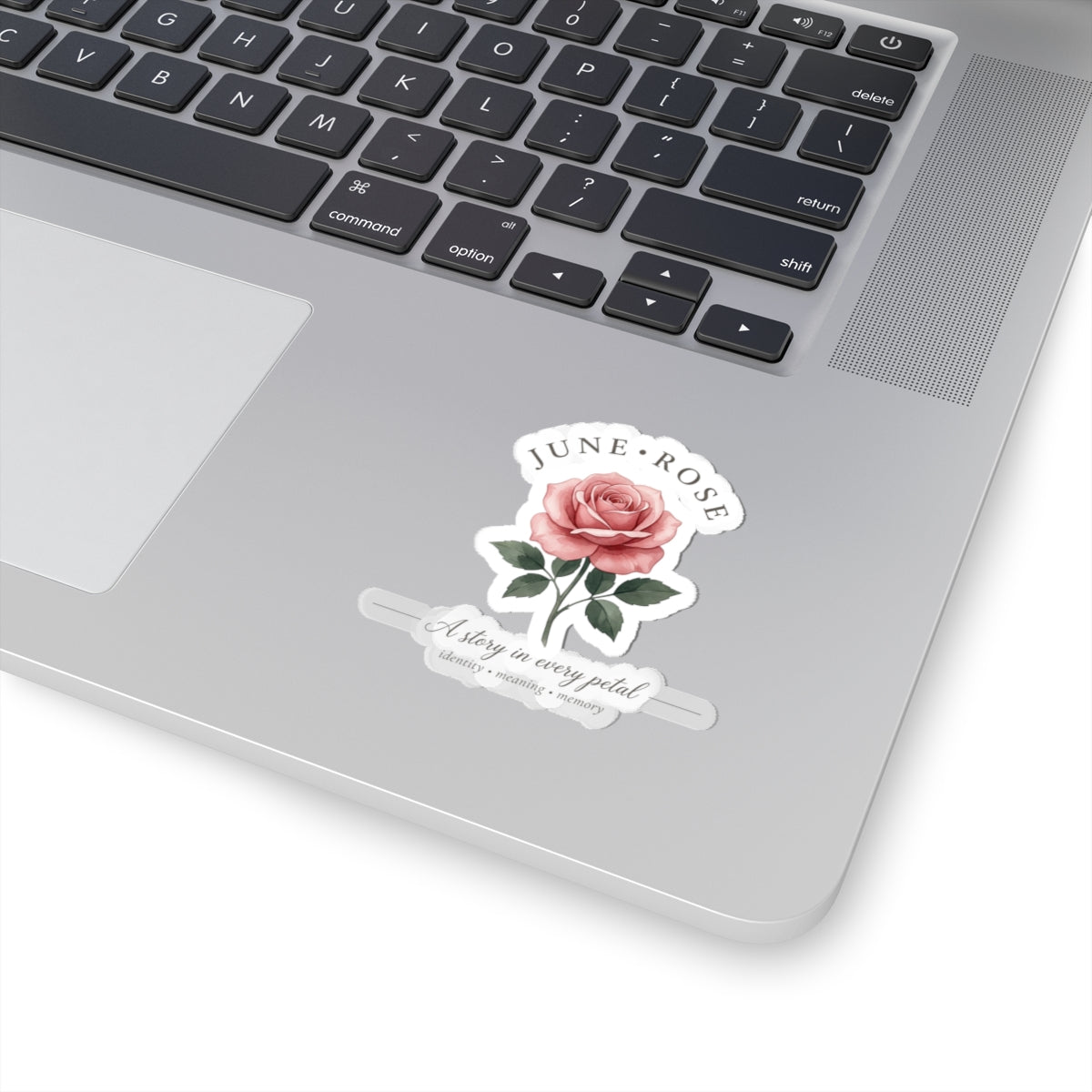 June Rose Botanical Sticker | Birth Month Flower, Watercolor, Personalized