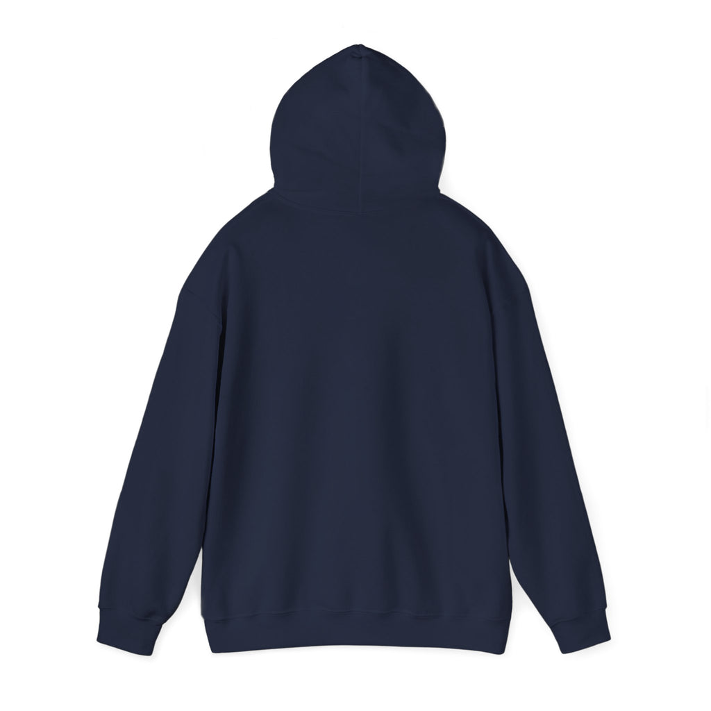 Faith Family Freedom Hoodie | Patriotic Faith-based July 4th, Vintage Americana