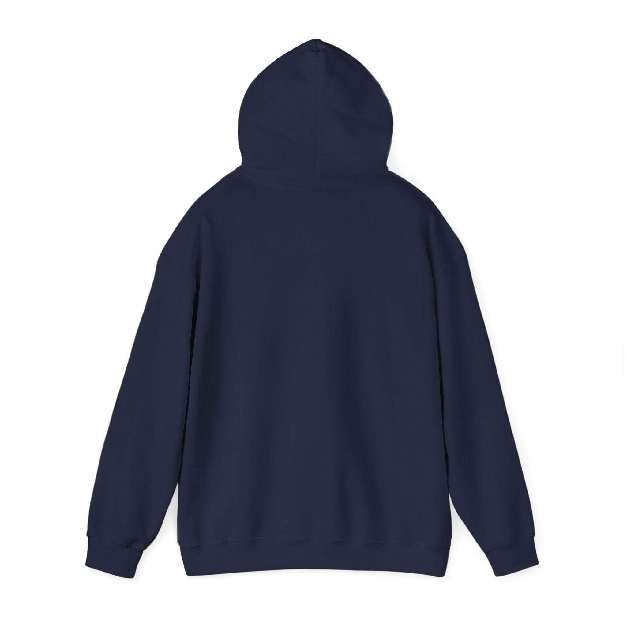 Faith Family Freedom Hoodie | Patriotic Faith-based July 4th, Vintage Americana