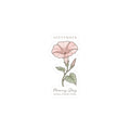 September Morning Glory Sticker | Birth Month Flower, Botanical Line Art